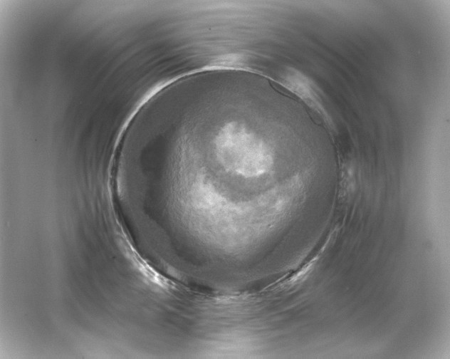 X0000066520908200603171215