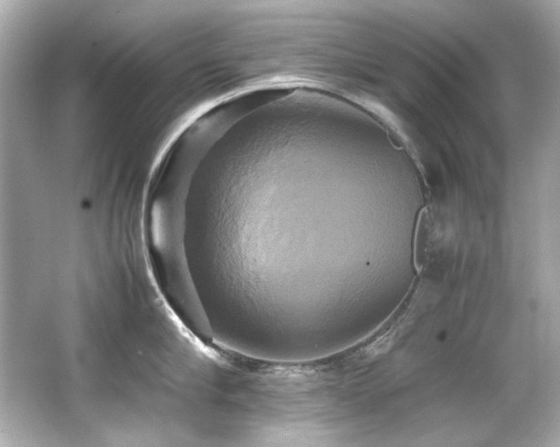 X0000066520910200603171215