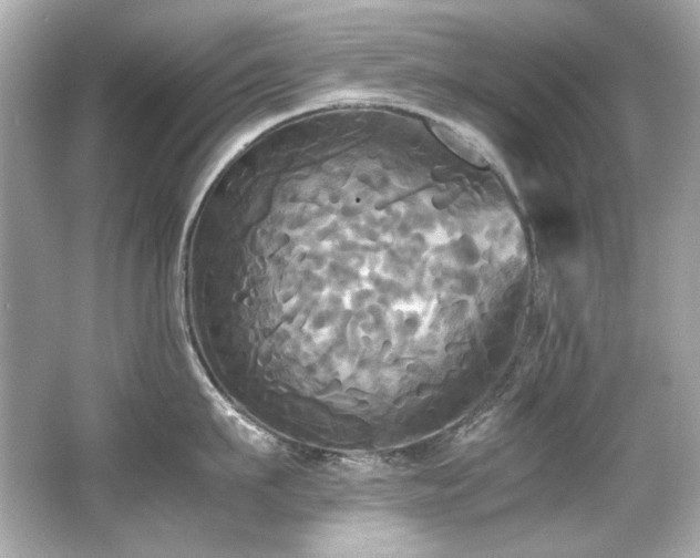 X0000066520911200603171215