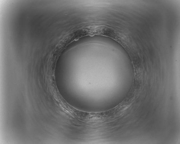 X0000066520913200603171214