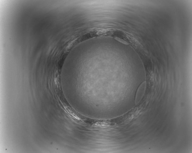 X0000066520914200603171214