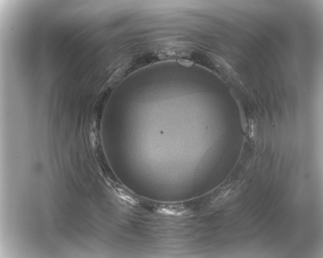 X0000066520915200603171214