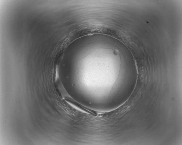 X0000066520916200603171214