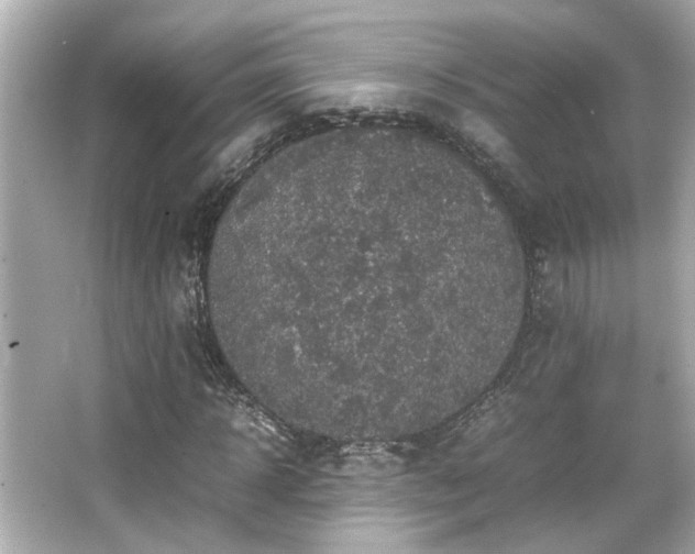 X0000066520918200603171214