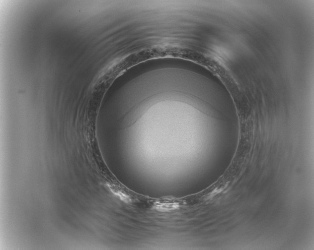 X0000066520919200603171214