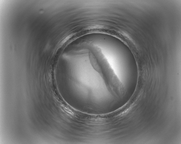 X0000066520921200603171214