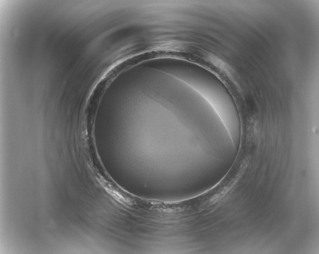 X0000066520923200603171214