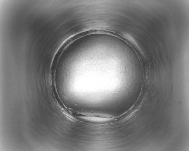 X0000066520924200603171214