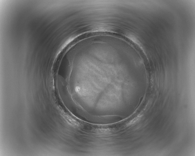 X0000066520925200603171214