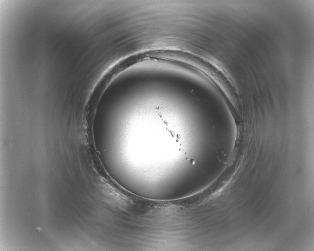 X0000066520926200603171214