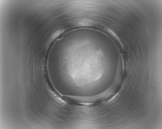 X0000066520930200603171214