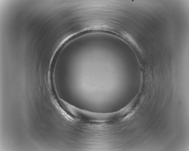 X0000066520932200603171214