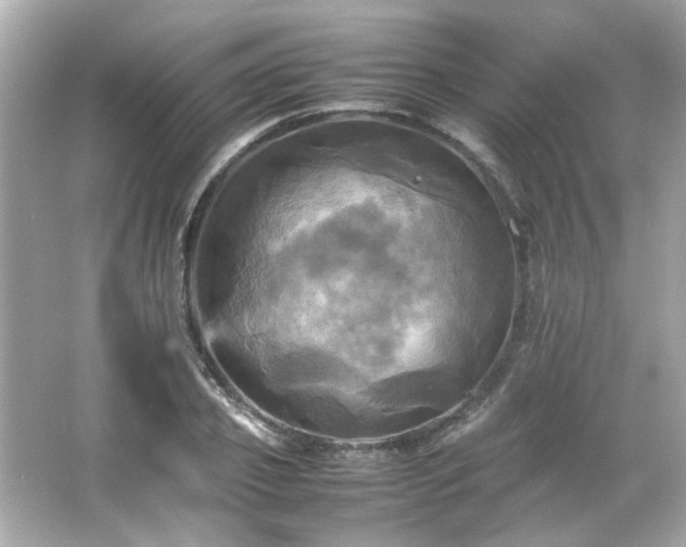 X0000066520933200603171214