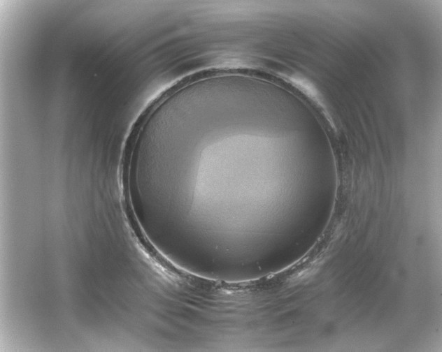 X0000066520935200603171214