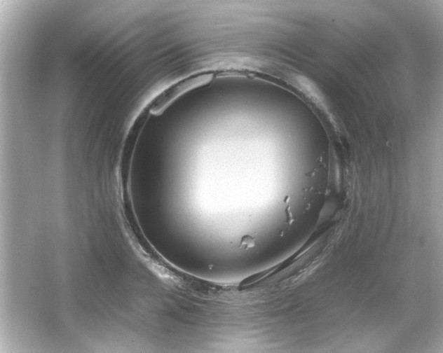 X0000066520936200603171214