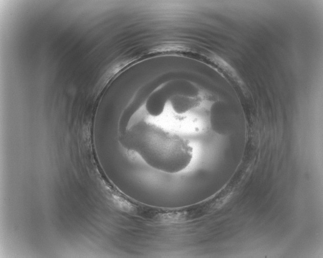 X0000066520937200603171214