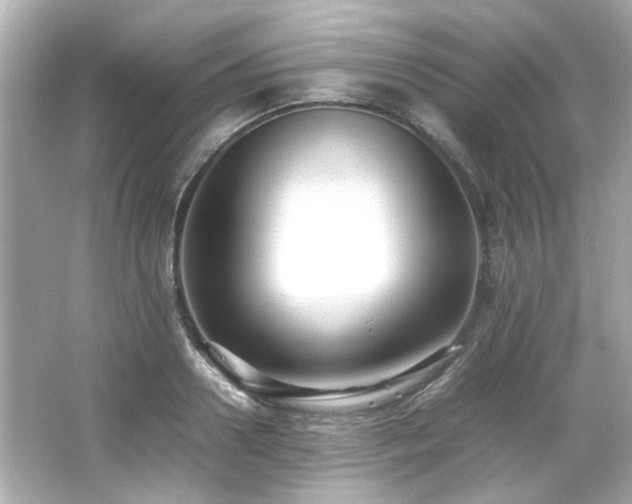 X0000066520938200603171214