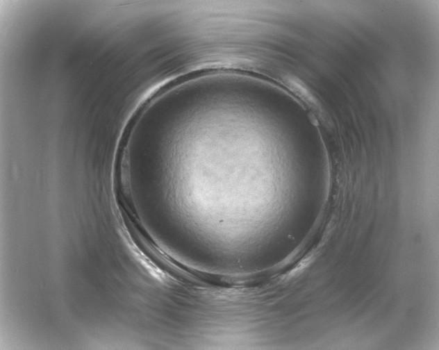 X0000066520940200603171214