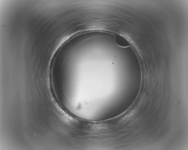 X0000066520941200603171214