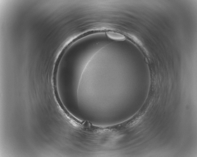 X0000066520943200603171214