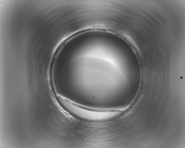 X0000066520944200603171214