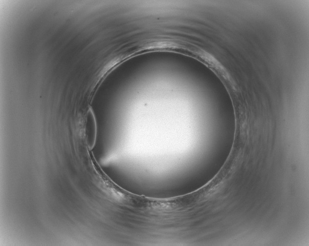 X0000066520945200603171214