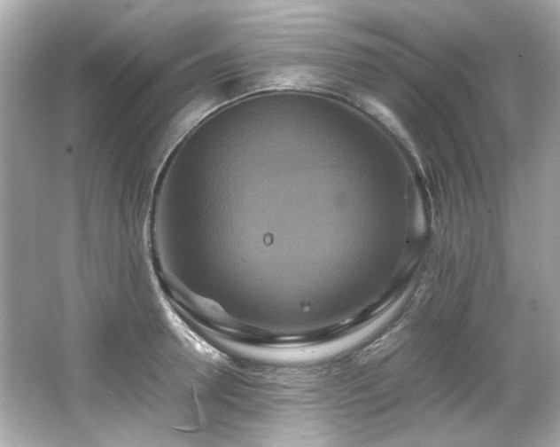 X0000066520946200603171214