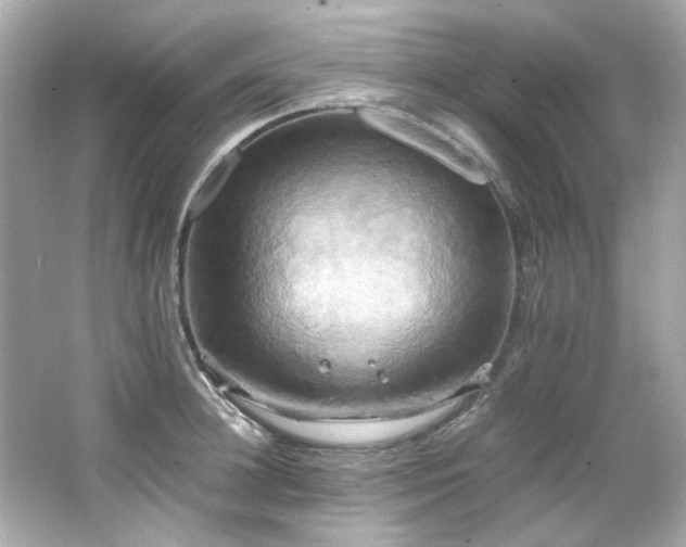 X0000066520948200603171214