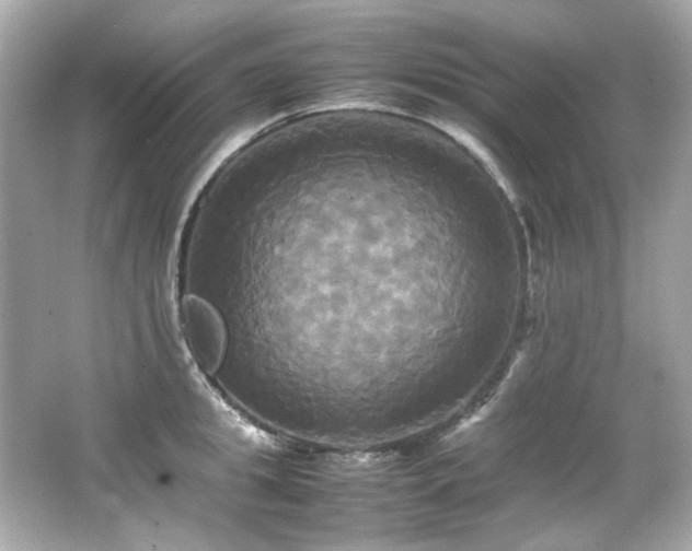 X0000066520949200603171214