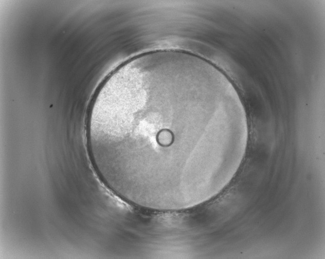 X0000066520950200603171214