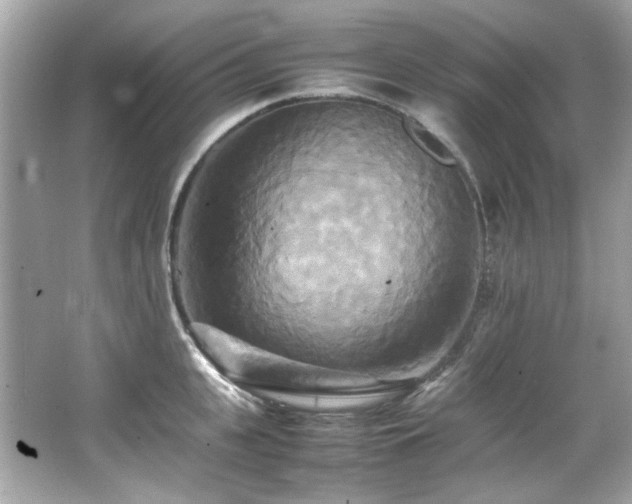 X0000066520951200603171214