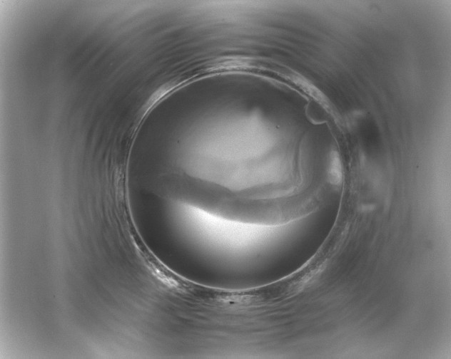 X0000066520953200603171215