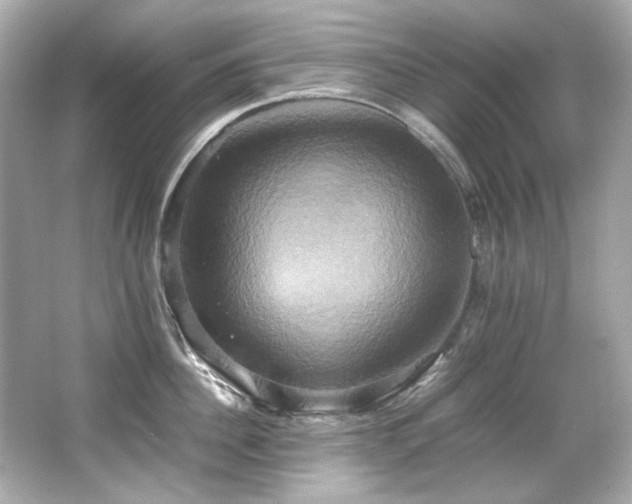 X0000066520956200603171215