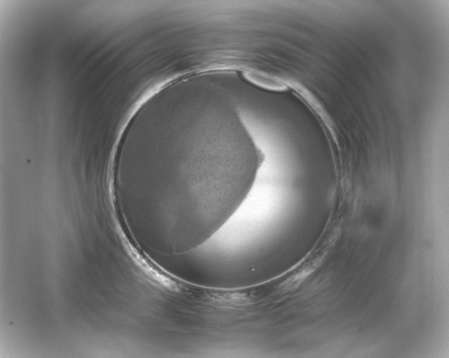 X0000066520957200603171215