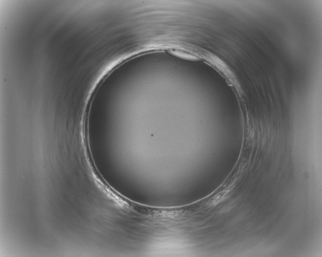 X0000066520958200603171215