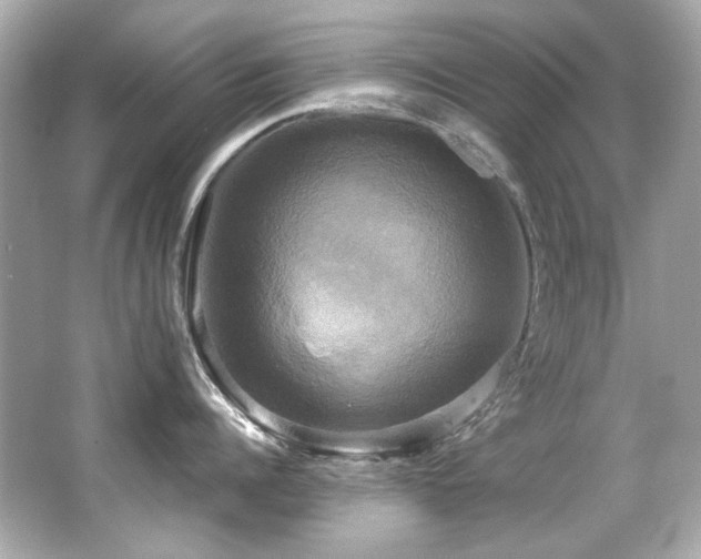 X0000066520960200603171215