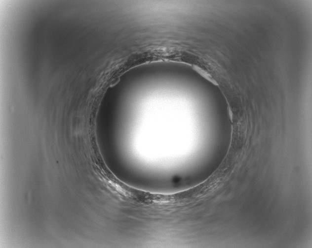 X0000066520961200603171214