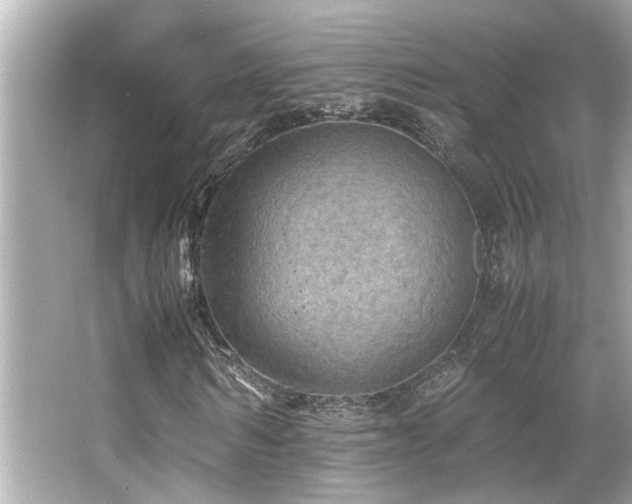 X0000066520962200603171214