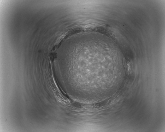 X0000066520963200603171214