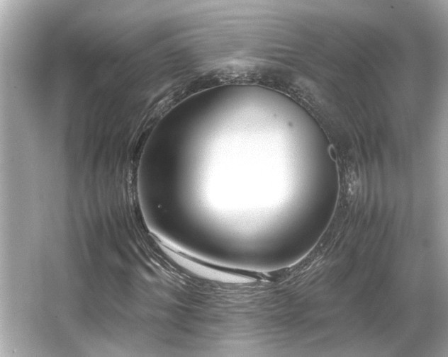 X0000066520964200603171214