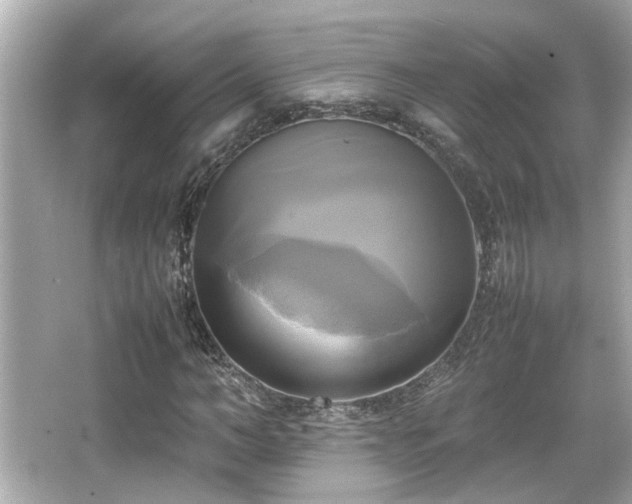 X0000066520966200603171214