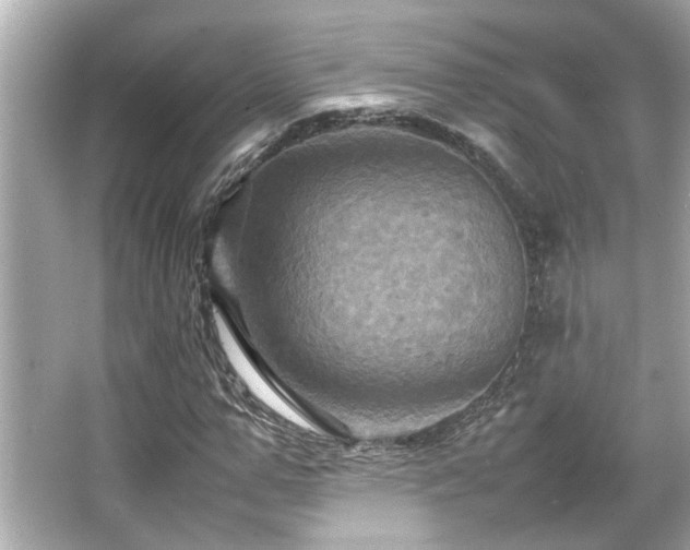 X0000066520967200603171214