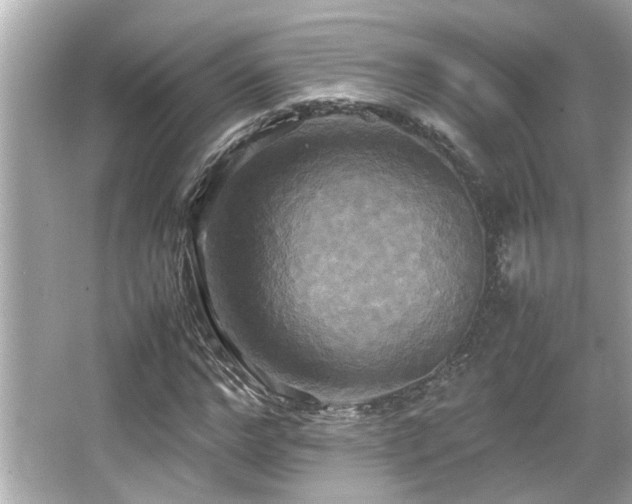 X0000066520968200603171214