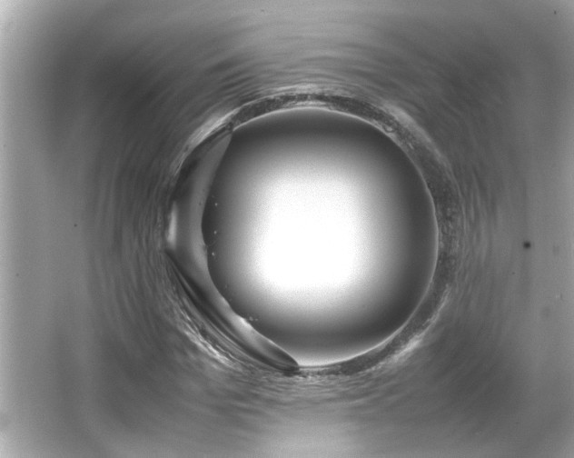 X0000066520969200603171214