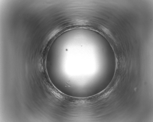 X0000066520970200603171214