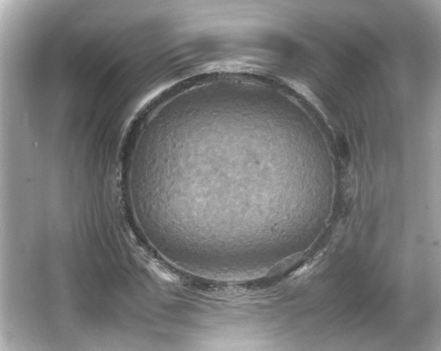 X0000066520971200603171214