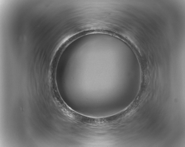 X0000066520975200603171214