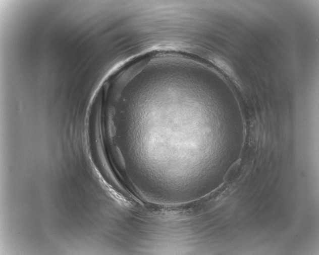 X0000066520976200603171214