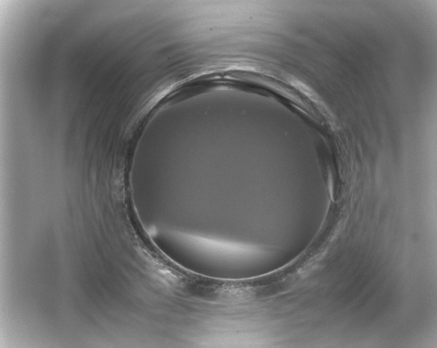 X0000066520977200603171214