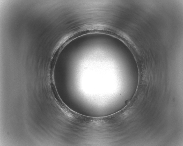 X0000066520978200603171214